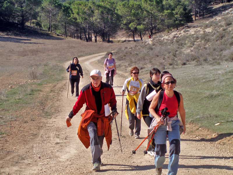 XIX Senderista Comunidad de Calatayud