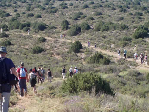 Ruta de los Miradores