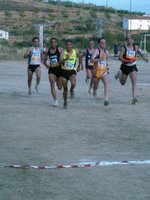 Ani&ntilde;&oacute;n