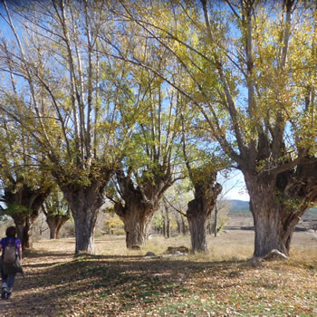 Inaguraci&oacute;n GR 262