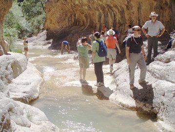 Hocinos de Rio Mart&iacute;n