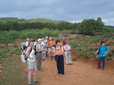 Fiesta de la sostenibilidad