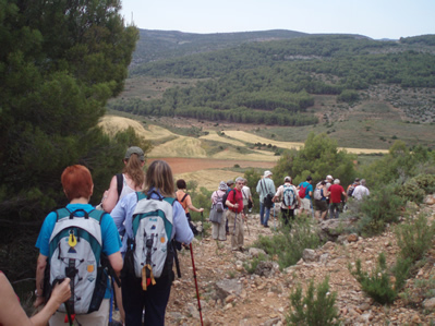 Fiesta de la sostenibilidad