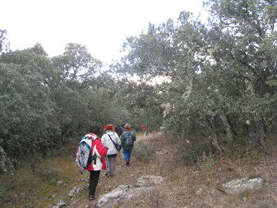 Monta&ntilde;ismo en Tobed